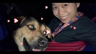 DI GOBERNASHON TA DI ENEMIGU, i NAN A c. NOS TUR SI BO NO TUMA AKTIVIDAT AWOR! E DEPARTAMENTO di SU GOBIERNU i den e LUS di skol riba TUR e 5G TOREN AWOR PA c.S NOS TUR!!